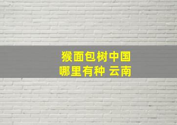 猴面包树中国哪里有种 云南